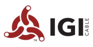 IGI Logo